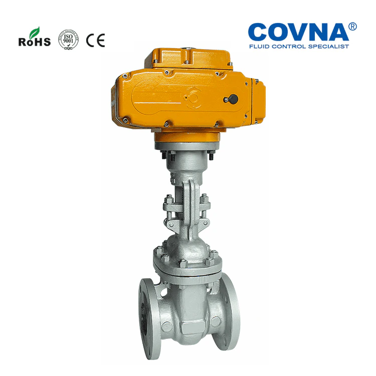 Motorized flange gate valve (ANSI) 01